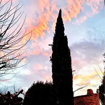 La BERGERIE