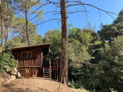 a log cabin in the middle of a forest at Le Cabanon d 'Aix in Aix-en-Provence