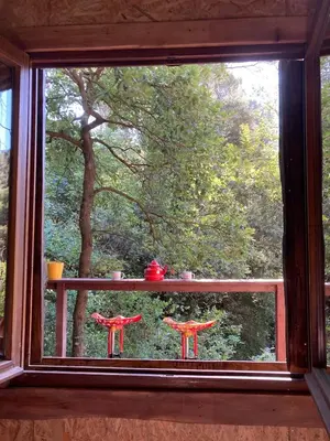 a window with a view of a tree at Le Cabanon d 'Aix in Aix-en-Provence