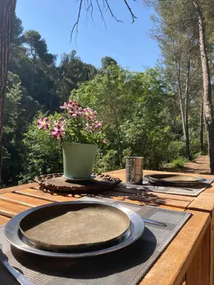 a wooden table with plates and a vase of flowers at Le Cabanon d 'Aix in Aix-en-Provence