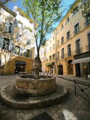 a fountain with a tree in the middle of a street at New! Le zola studio lumineux en centre ville in Aix-en-Provence