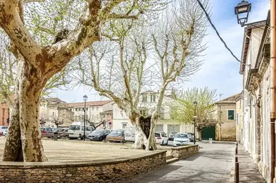 two trees on a sidewalk next to a street at Maison de Charme Rénovée 3 Chbres Hyper Centre Historique in LʼIsle-sur-la-Sorgue