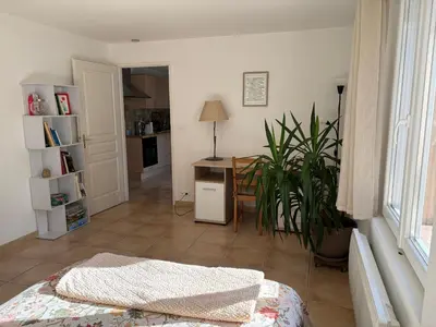 a living room with a table and a plant at Logement avec jardin et terrain de pétanque privé in Venelles