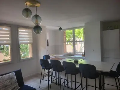 a kitchen with a table and chairs and windows at Espace Forbin in Aix-en-Provence