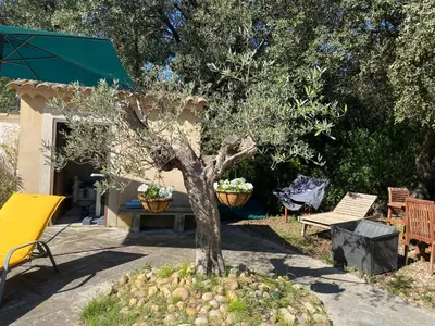 a tree sitting in a yard next to a bench at Petite Maison provencale in Lagnes