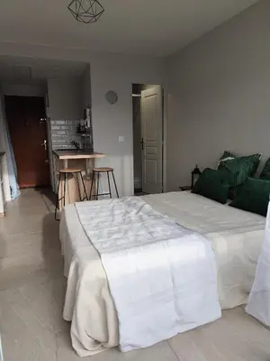 a bedroom with a large white bed and a kitchen at Studio plein centre in Aix-en-Provence