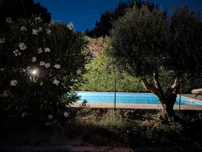 a swimming pool on a hill with a tree at LE CHESTER - Maison de charme en Provence avec piscine près de L'Isle-sur-la-Sorgue in Velleron