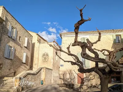 a tree standing in front of a building at LE CHESTER - Maison de charme en Provence avec piscine près de L'Isle-sur-la-Sorgue in Velleron