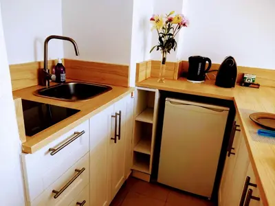 a kitchen with a sink and a vase of flowers at Provence apartments in Aix-en-Provence