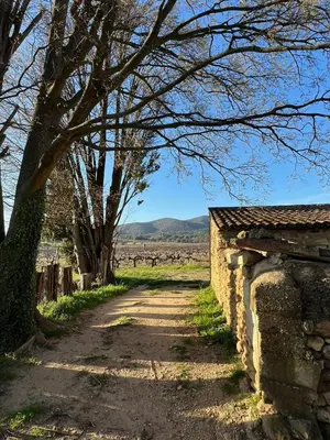 a dirt road next to a stone wall and trees at Bastide Neuve au Cœur du Luberon - Piscine Privée in Lauris