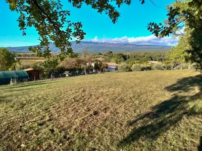 a field of grass with a tree in the foreground at Tranquil Cottage With Views Of Mont Ventoux in Les Gaps