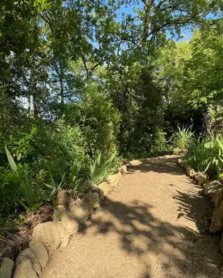 a dirt path with trees and plants on it at Chambre Deluxe - vue jardin - située dans le triangle d'or du Luberon in Ménerbes