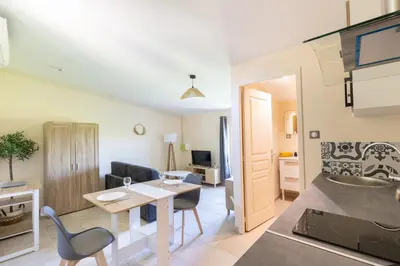 a kitchen and living room with a table and chairs at Le Romarin - Hypercentre Studio - Clim - WiFi in Apt
