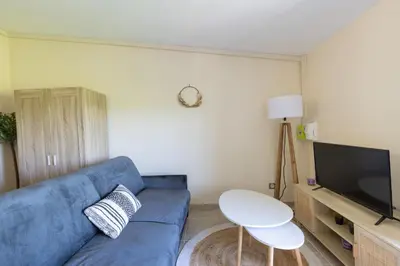 a living room with a blue couch and a tv at Le Romarin - Hypercentre Studio - Clim - WiFi in Apt