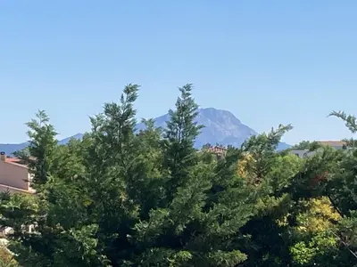 a tree with a mountain in the background at Grande maison avec piscine in Aix-en-Provence