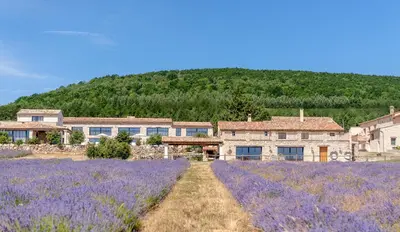 a house in a lavender field with a hill in the background at Domaine Château du Bois Provence in Lagarde-dʼApt