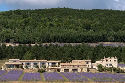 a group of buildings in a field with purple flowers at Domaine Château du Bois Provence in Lagarde-dʼApt