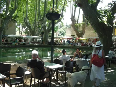 a group of people sitting at tables in front of a pond at Les Chambres De Charlotte in Cucuron