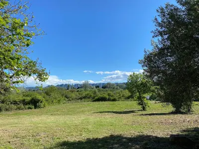 a field of grass with trees and a blue sky at Mas Bruneau in Noves