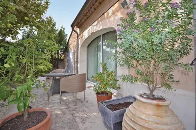 a group of potted trees in pots next to a building at Mas Bosca Brun in Cheval-Blanc
