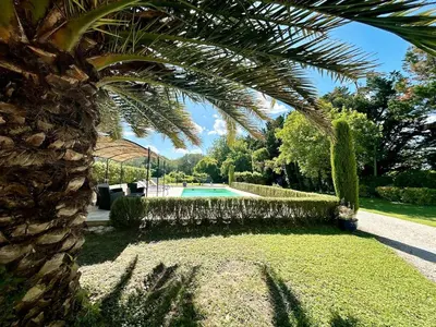 a palm tree next to a swimming pool at Villa 7 chambres, piscine et jardins privés, pas de voisins in Le Thor