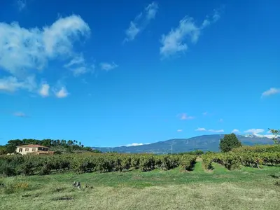 a vineyard with a house and a blue sky at Gite au calme, sur domaine vinicole avec piscine chauffée partagée idéal rando et vélo in Mormoiron