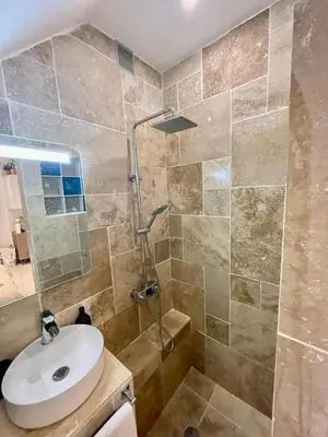 a bathroom with a sink and a shower at Entre Sorgue et sens in LʼIsle-sur-la-Sorgue
