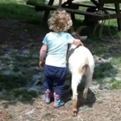 a young child walking a dog in a park at Maison de vacances en pleine nature in Aurons