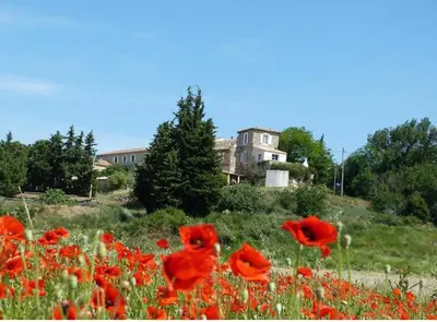 a field of red poppies in front of a house at Maison de vacances en pleine nature in Aurons
