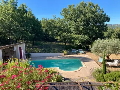 a swimming pool in a garden with flowers at Les oliviers in Saignon
