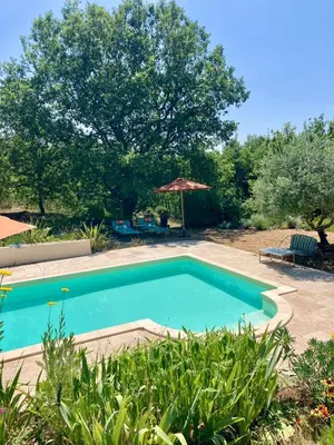 a swimming pool in a yard with an umbrella at Les oliviers in Saignon