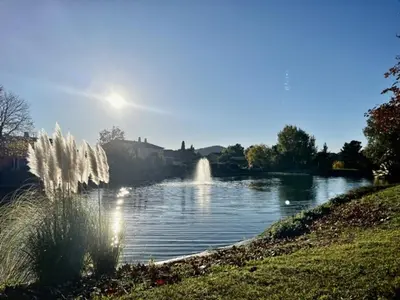 a pond with a fountain in the middle at Maison en Provence avec Piscine et Climatisation - FR-1-658-36 in Mallemort