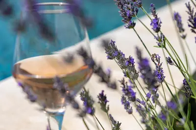 a bunch of purple flowers next to a glass at Villa Les Escapades d'Adrien, piscine, climatisation in Sannes