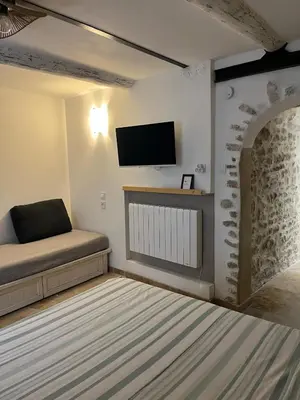 a living room with a couch and a flat screen tv at Place ô sorgue ! in LʼIsle-sur-la-Sorgue