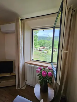 a vase of flowers on a table in front of a window at Vues imprenables, calme, nature, confort in Bonnieux