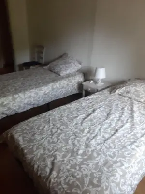 a bedroom with two beds and a lamp on a table at Provencal-style villa in Morières-lès-Avignon