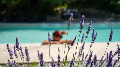 a person swimming in a pool with purple flowers at La cabane - Nature et Spa in Aurons