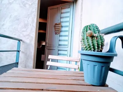 a cactus in a blue pot sitting on a table at Spacieux 74 m2 Standing Clim & Parking Privé Centre Ville in LʼIsle-sur-la-Sorgue