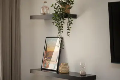 a shelf on a wall with a picture and a plant at Le Cocon du Luberon - Clim - Wifi - Hypercentre in Apt