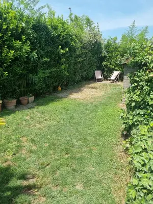 a yard with two chairs sitting in the bushes at Beautiful Villa Pool in Provence in Monteux