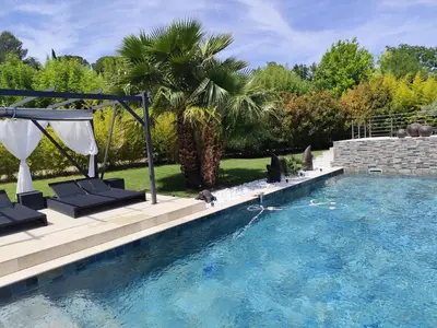 a swimming pool in a yard with two dogs in it at Aloha in Aix-en-Provence