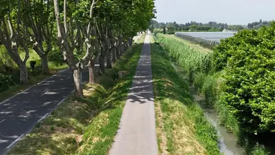 a road with trees on the side of a river at Parenthèse à la Maison de Gilda in Eygalières