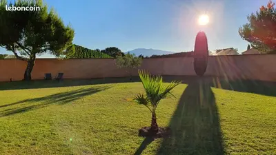 a palm tree in a yard with the sun behind a wall at Gite confort et Calme Casa La Piboulette in Carpentras