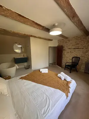 a bedroom with a large bed and a bath tub at La Maison Du Jas in Puyvert