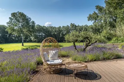 two wicker chairs and tables on a patio with lavender at Gîte Terrasse in Gordes