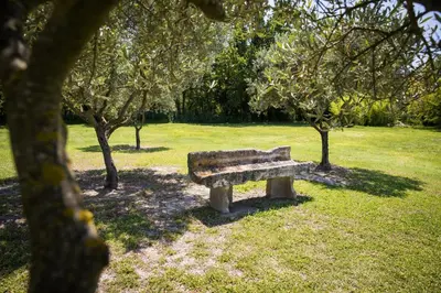 a stone bench sitting in a park with trees at La Bastide des Amouriers in Caumont-sur-Durance