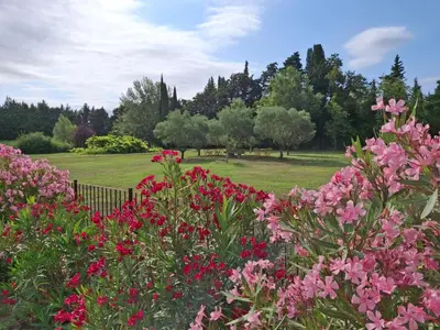 a garden with pink flowers in a park at La Bastide des Amouriers in Caumont-sur-Durance