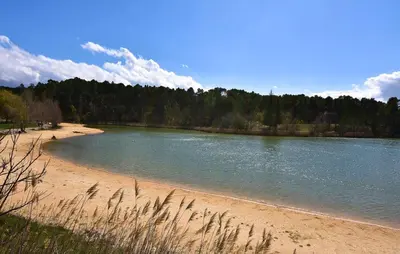 a beach with a body of water and trees at Maison Avec Jacuzzi in Mazan