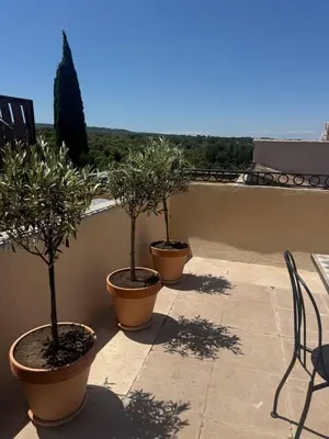 three potted trees in pots on a balcony at Charming house in the village center of Venasque in Venasque