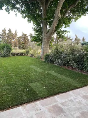 a green lawn with a tree and a sidewalk at Gîte dans un mas Provençal - L'Oustalet in Saint-Andiol